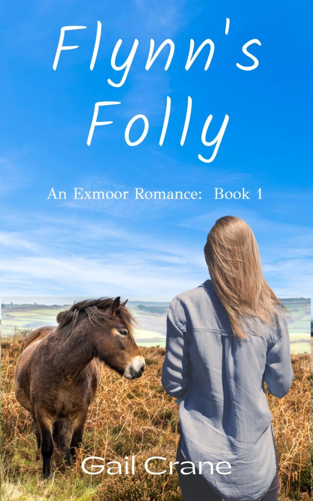 Flynn's Folly. An Exmoor romance novel.